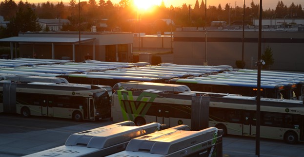 A group of busses parked in formation with the sunset in the background. 
